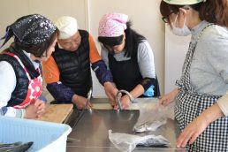 今日のおかずは鯵！