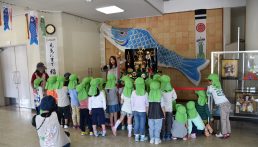 見に来たよ！　五月のギャラリー🎏