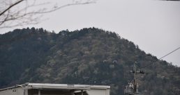 山も春めいてきました