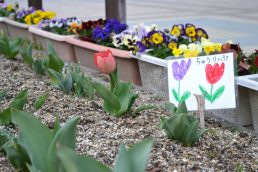 小さい春みーつけた