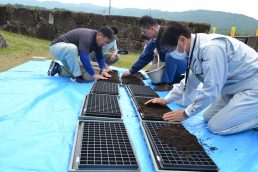 中山さん　新嘗祭献穀　種まき