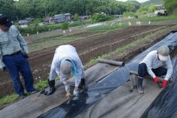 いいなっつ農園 始まるよ！