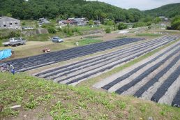 いいなっつ農園、準備ＯＫ！