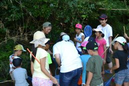 いっぱい体験したよ！