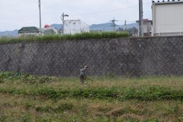 いいなっつ農園収穫祭準備　ご協力をお願いします。