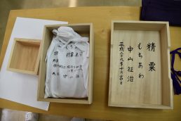 粟の観察日記　⑮