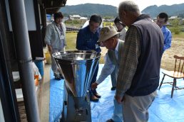 粟の観察日記⑬ 精粟 / 中山さん宅