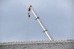 公民館の屋根から ながーい首？