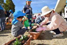 ぺんぎん組さんといるか組さんも花植えに参加したよ🌼