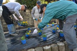 秋の花植え しっとりと。