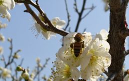 暖かなひざしに目が覚めた？🌸