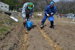 今年もいいなっつ農園 始まるよ！一番乗りは じゃがいも　