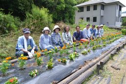 赤 ピンク 黄 白　稲津の町が賑やかに！