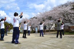 さくらの下で さわやかに太極拳　さくら便り⑤