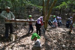 野瀬山で ギッコンバッタン！