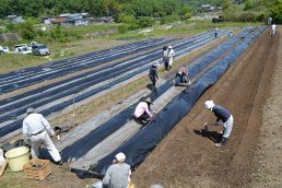 いいなっつ農園　苗植え準備ＯＫ！