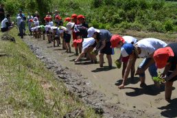 お米は日本の心