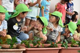 おじちゃんおばちゃんと一緒に植えたよ🌼