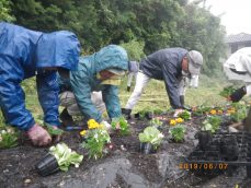 春の花いっぱい！　雨にも負けず…　ひざし前編