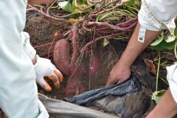 出来はどうかな？？