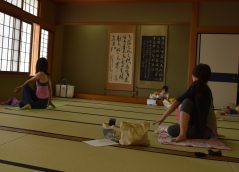 これは効きそうです！