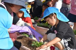 お花を優しく植えようね🌼