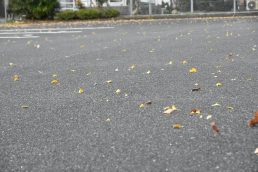 木枯らし　激しい雨　雷　11月11日の午後