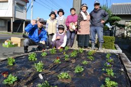 パンジーとビオラ。稲津の秋の花✿いっぱい！
