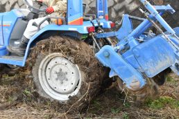 農園って1年をとおしてやる事いっぱいあるのね