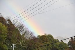 天からの贈り物　虹