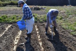 ふかふかベッドに２２０個のメークイン！