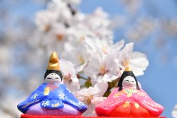 今日は4月の雛祭り🎎