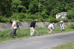 ホッ　ホッ　ほたる恋