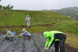 雨に打たれながら　紅はるか　整列！