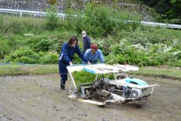 大人だけで小学校の田植え