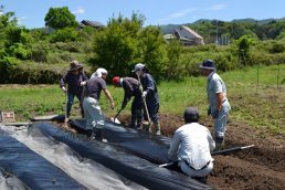いいなっつ農園　いざ　さつまいも畑！