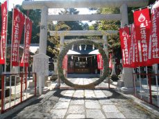 茅の輪くぐりが出来ました。