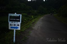 ほたるび日記　１８灯  【最終号】