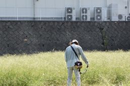 いいなっつ農園も秋の気配