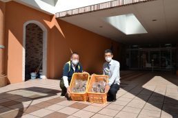 いいなっつ農園のさつまいもをお届け！