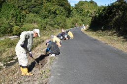 春にはスイセンが楽しめそうです。