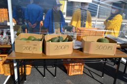 今日も元気に始まりました！　第４６回稲津町文化祭　２日目