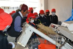 稲津小学校　脱穀