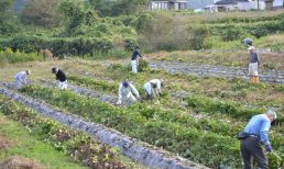 🍠収穫祭の準備ありがとうございました！