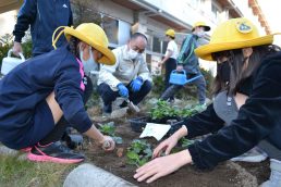 稲津小学校　ステキな花壇ができました！