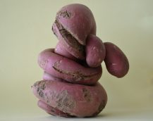 世にも奇妙なさつまいも！