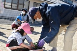 パンジーとビオラで花いっぱいに！