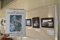 大湫　大杉パネル展