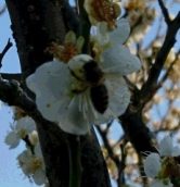 春の陽気に誘われて