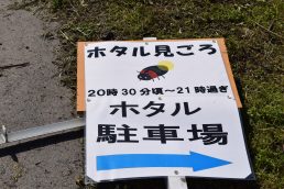 準備完了　ホタルさんお待ちしています。